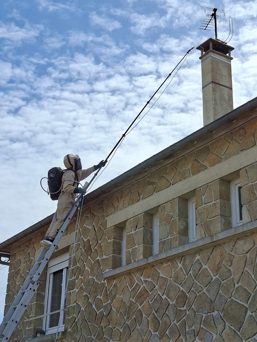Professionnel en combinaison de protection près d'une habitation